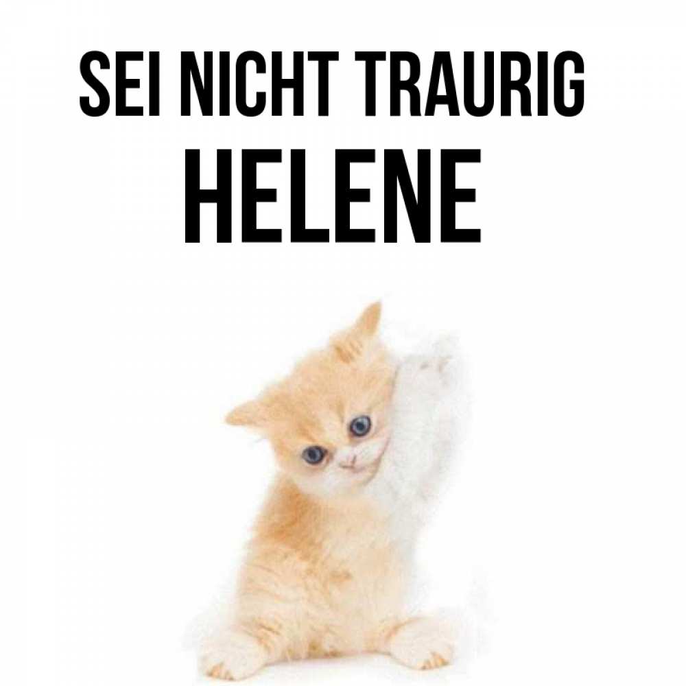 Открытка на каждый день с именем, Helene Sei nicht traurig просящий кот Прикольная открытка с пожеланием онлайн скачать бесплатно 