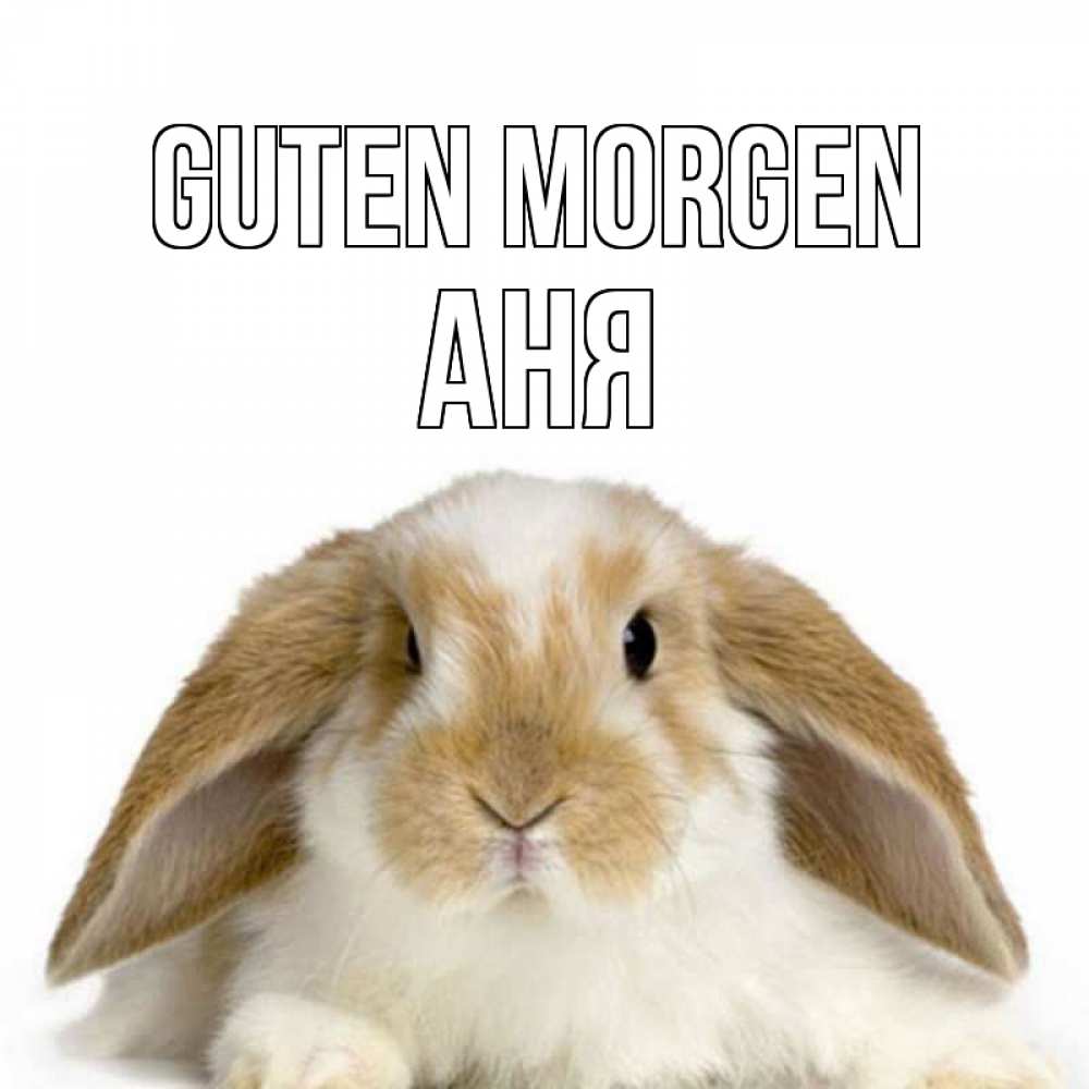 Открытка на каждый день с именем, Аня Guten Morgen прикольные открытки на каждый день Прикольная открытка с пожеланием онлайн скачать бесплатно 