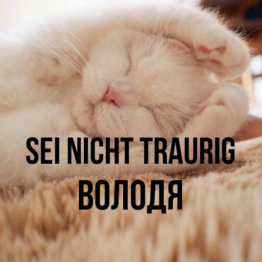 Открытка на каждый день с именем, Володя Sei nicht traurig Котенок спит Прикольная открытка с пожеланием онлайн скачать бесплатно 