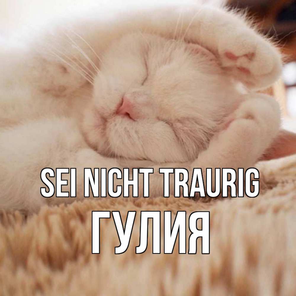 Открытка на каждый день с именем, Гулия Sei nicht traurig белый кот Прикольная открытка с пожеланием онлайн скачать бесплатно 
