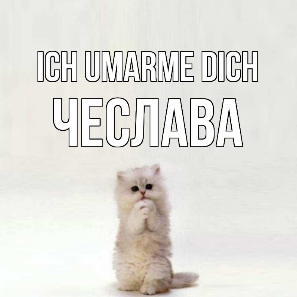 Открытка на каждый день с именем, Чеслава Ich umarme dich открытки с креативными подписями Прикольная открытка с пожеланием онлайн скачать бесплатно 