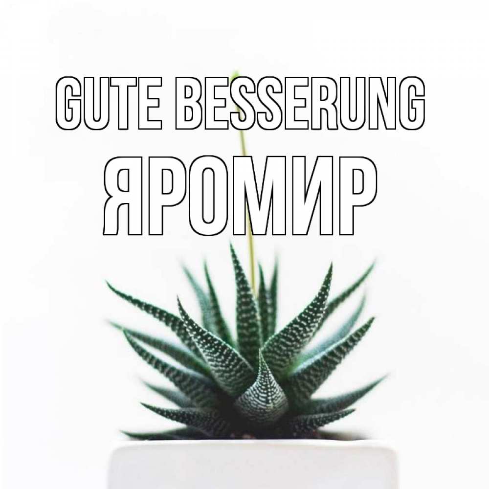 Открытка на каждый день с именем, Яромир Gute Besserung короче это непонятная колючка Прикольная открытка с пожеланием онлайн скачать бесплатно 