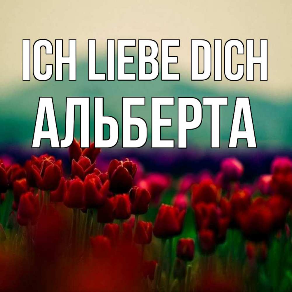 Открытка на каждый день с именем, Альберта Ich liebe dich тюльпаны 4 Прикольная открытка с пожеланием онлайн скачать бесплатно 
