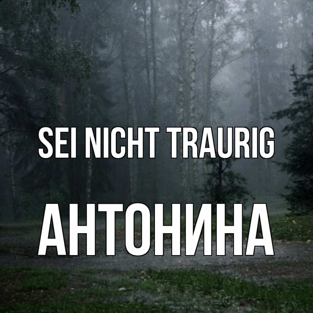 Открытка на каждый день с именем, Антонина Sei nicht traurig осень Прикольная открытка с пожеланием онлайн скачать бесплатно 