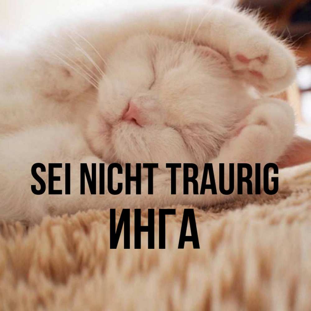 Открытка на каждый день с именем, Инга Sei nicht traurig Котенок спит Прикольная открытка с пожеланием онлайн скачать бесплатно 