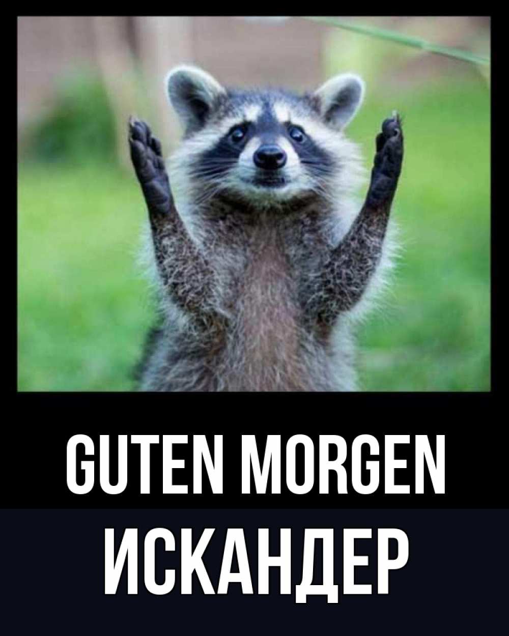 Открытка на каждый день с именем, Искандер Guten Morgen хорошее настроение утречком Прикольная открытка с пожеланием онлайн скачать бесплатно 
