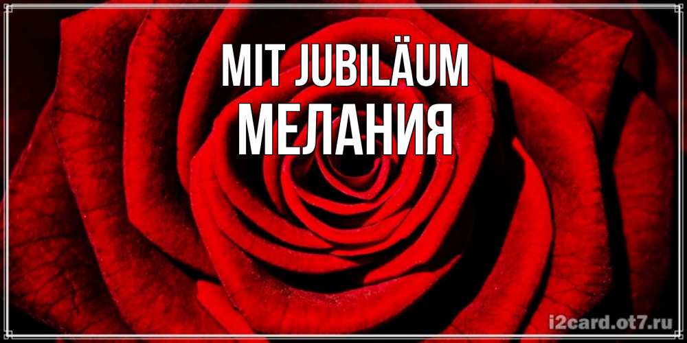 Открытка на каждый день с именем, Мелания Mit Jubiläum алая роза Прикольная открытка с пожеланием онлайн скачать бесплатно 