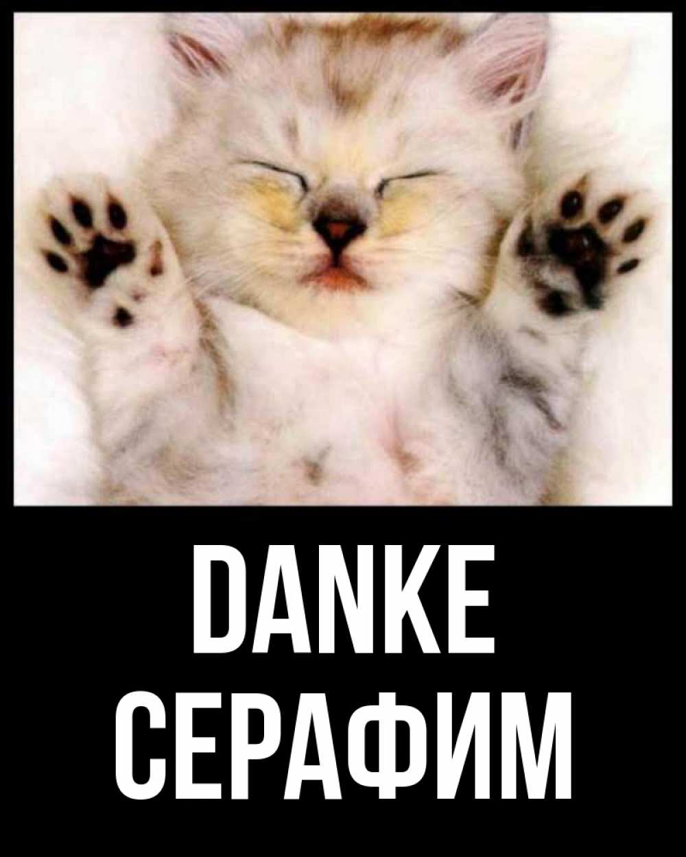 Открытка на каждый день с именем, Серафим Danke маленький котенок Прикольная открытка с пожеланием онлайн скачать бесплатно 