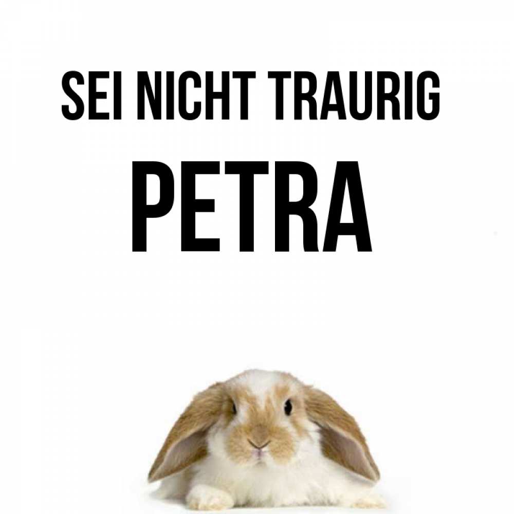 Открытка на каждый день с именем, Petra Sei nicht traurig коричнево белый заяц с большими ушками Прикольная открытка с пожеланием онлайн скачать бесплатно 