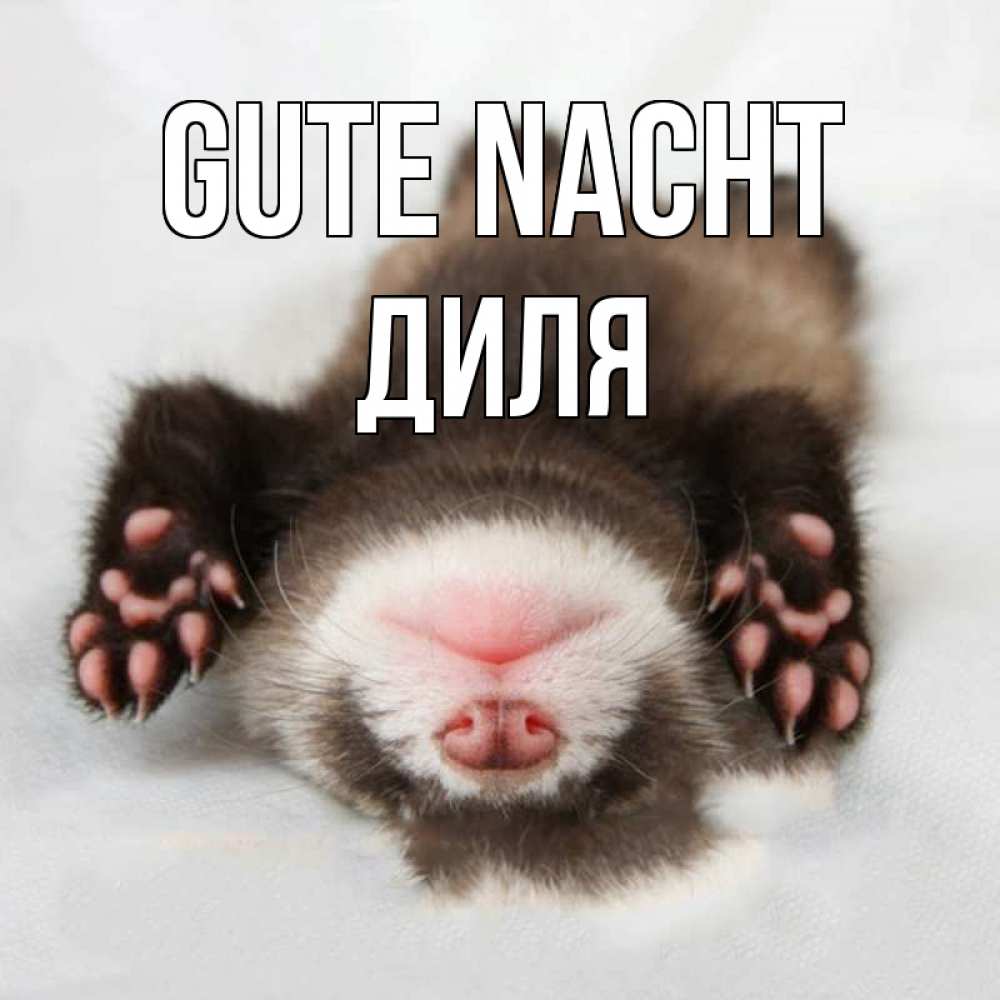 Открытка на каждый день с именем, Диля Gute Nacht зверек Прикольная открытка с пожеланием онлайн скачать бесплатно 