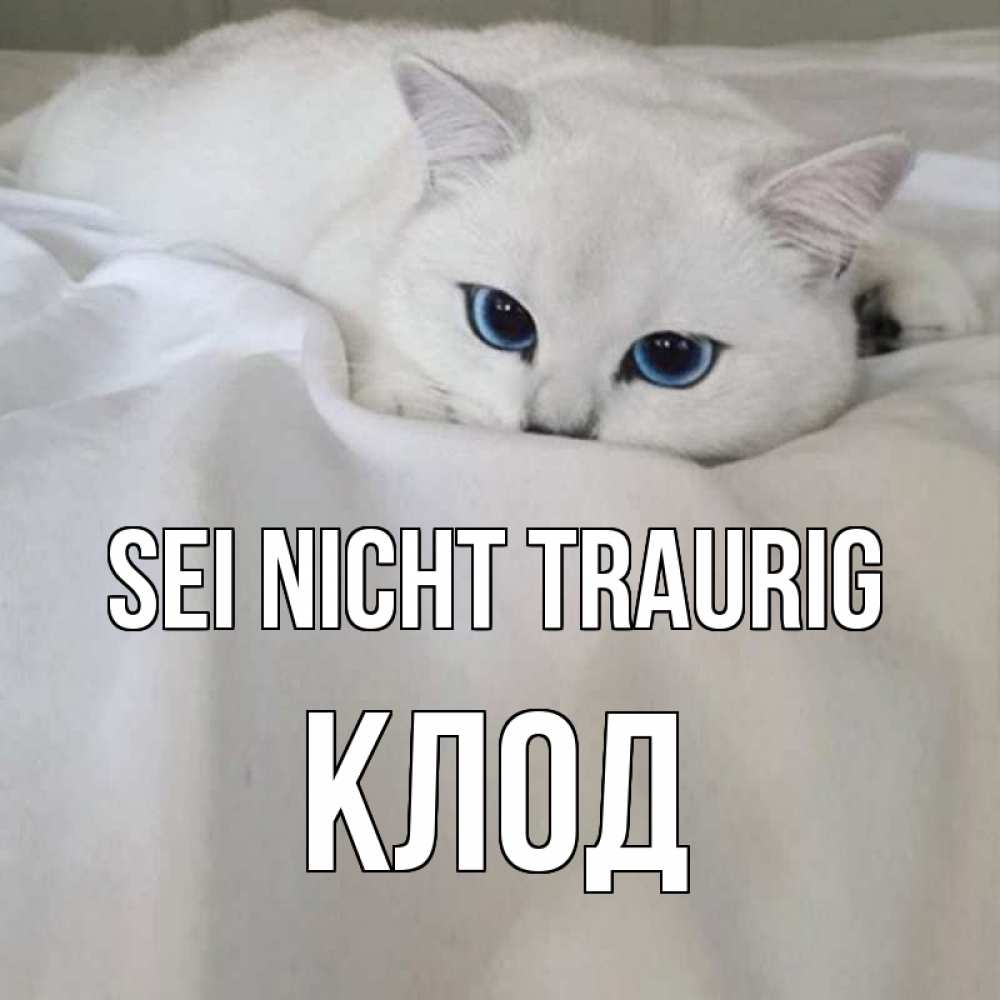 Открытка на каждый день с именем, Клод Sei nicht traurig белый кот с голубыми глазами на белоснежной кровати Прикольная открытка с пожеланием онлайн скачать бесплатно 
