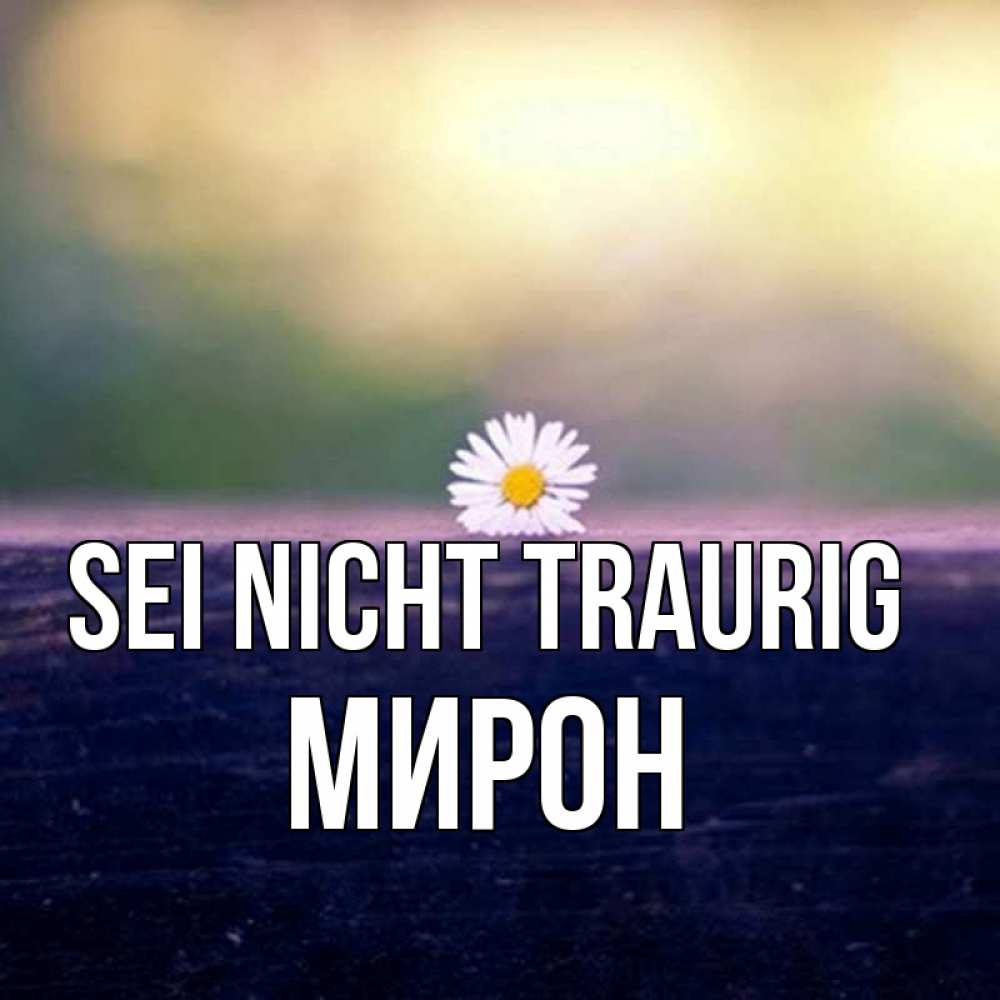 Открытка на каждый день с именем, Мирон Sei nicht traurig красота Прикольная открытка с пожеланием онлайн скачать бесплатно 