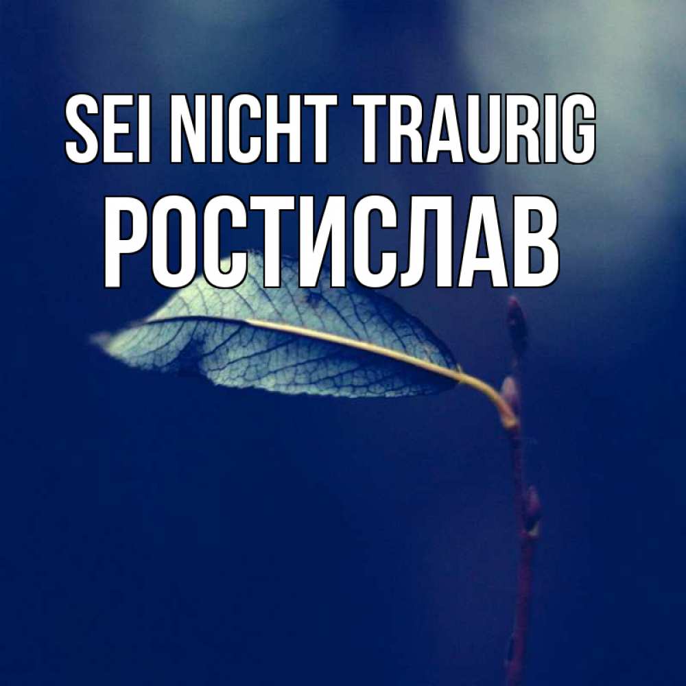 Открытка на каждый день с именем, Ростислав Sei nicht traurig растение Прикольная открытка с пожеланием онлайн скачать бесплатно 