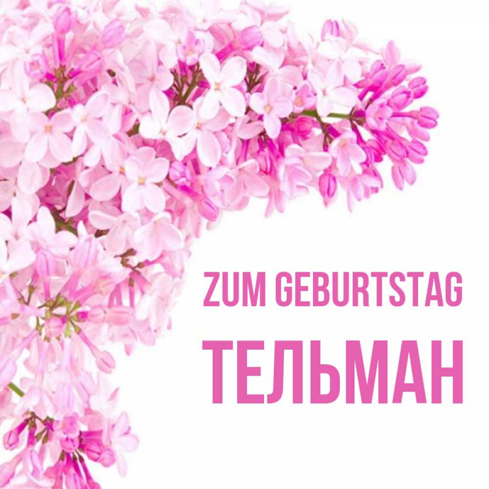 Открытка на каждый день с именем, Тельман Zum Geburtstag Сирень на белом фоне Прикольная открытка с пожеланием онлайн скачать бесплатно 