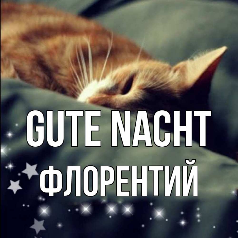 Открытка на каждый день с именем, Флорентий Gute Nacht кроватка Прикольная открытка с пожеланием онлайн скачать бесплатно 