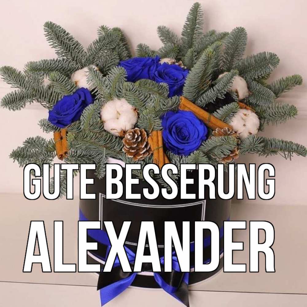 Открытка на каждый день с именем, Alexander Gute Besserung короче кто то загрузил эти шишки Прикольная открытка с пожеланием онлайн скачать бесплатно 