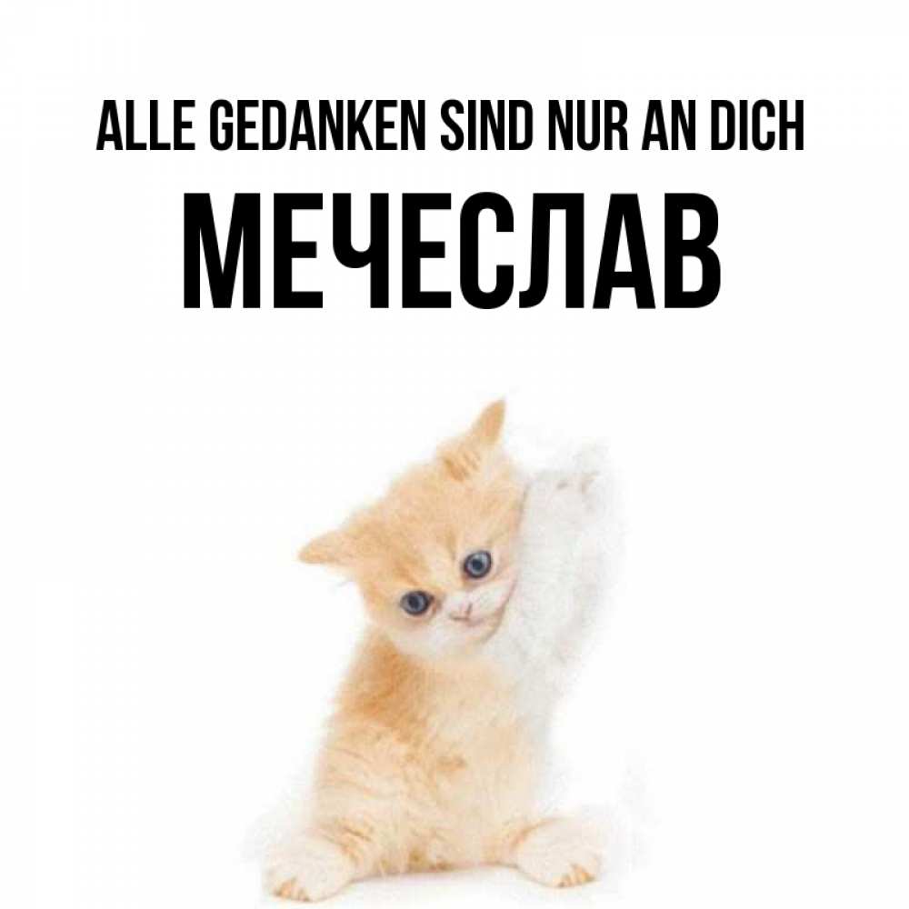 Открытка на каждый день с именем, Мечеслав Alle Gedanken sind nur an dich зверушки и милота Прикольная открытка с пожеланием онлайн скачать бесплатно 