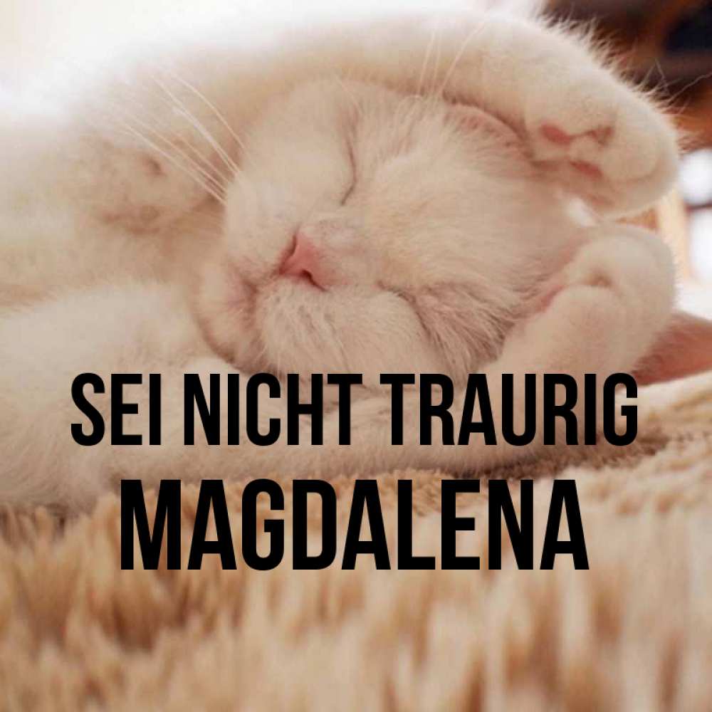 Открытка на каждый день с именем, Magdalena Sei nicht traurig Котенок спит Прикольная открытка с пожеланием онлайн скачать бесплатно 