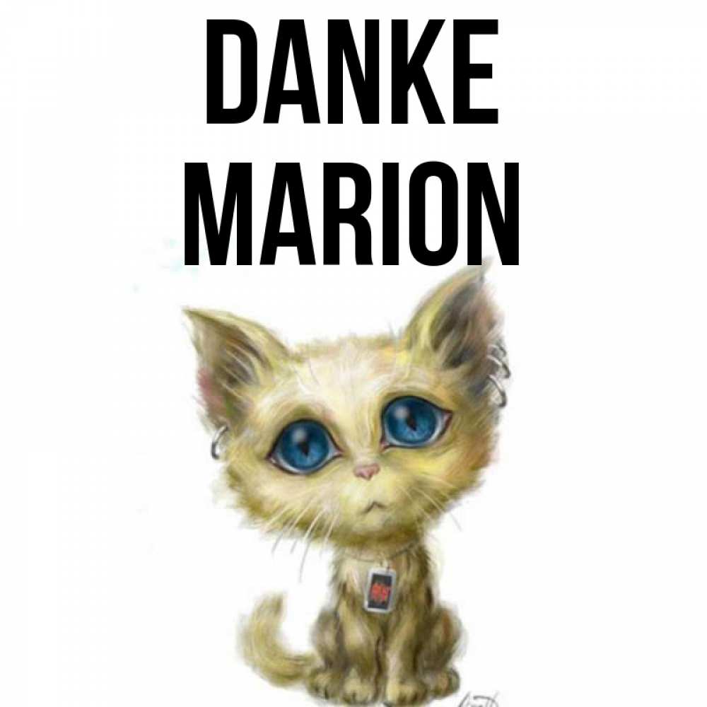 Открытка на каждый день с именем, Marion Danke рисованный кот благодарит вас Прикольная открытка с пожеланием онлайн скачать бесплатно 