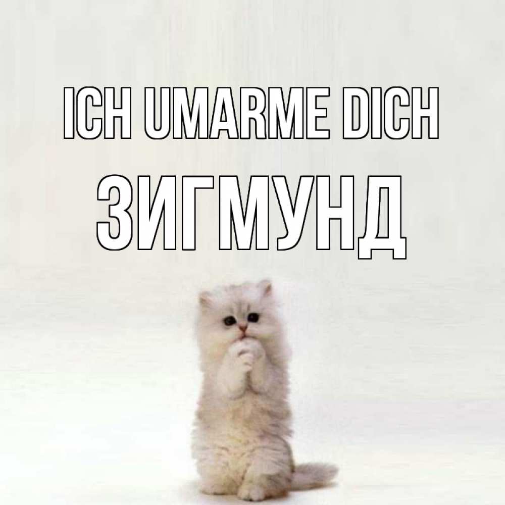Открытка на каждый день с именем, Зигмунд Ich umarme dich открытки с креативными подписями Прикольная открытка с пожеланием онлайн скачать бесплатно 