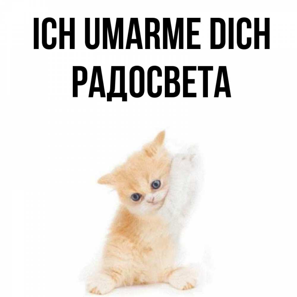 Открытка на каждый день с именем, Радосвета Ich umarme dich я хочу очень скорее обнимаешек Прикольная открытка с пожеланием онлайн скачать бесплатно 