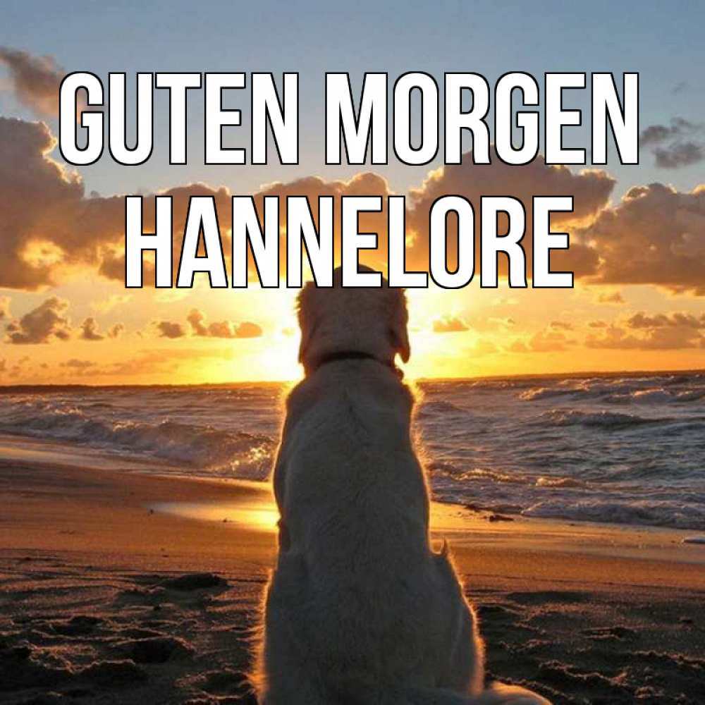 Открытка на каждый день с именем, Hannelore Guten Morgen восход солнца Прикольная открытка с пожеланием онлайн скачать бесплатно 