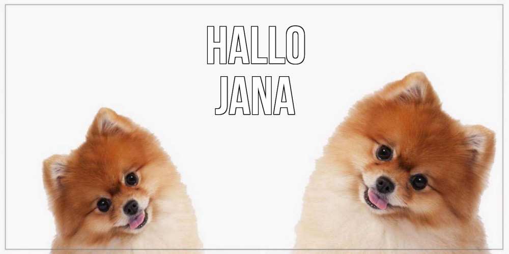 Открытка на каждый день с именем, Jana Hallo привет Прикольная открытка с пожеланием онлайн скачать бесплатно 