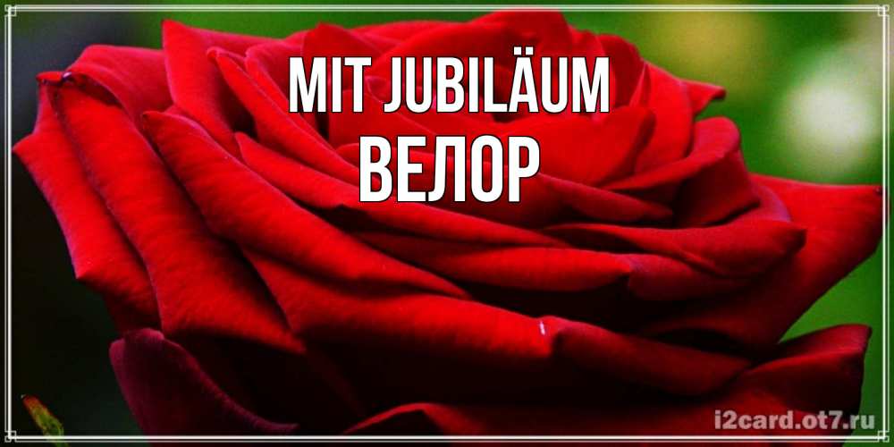 Открытка на каждый день с именем, Велор Mit Jubiläum розочка очень красивая Прикольная открытка с пожеланием онлайн скачать бесплатно 