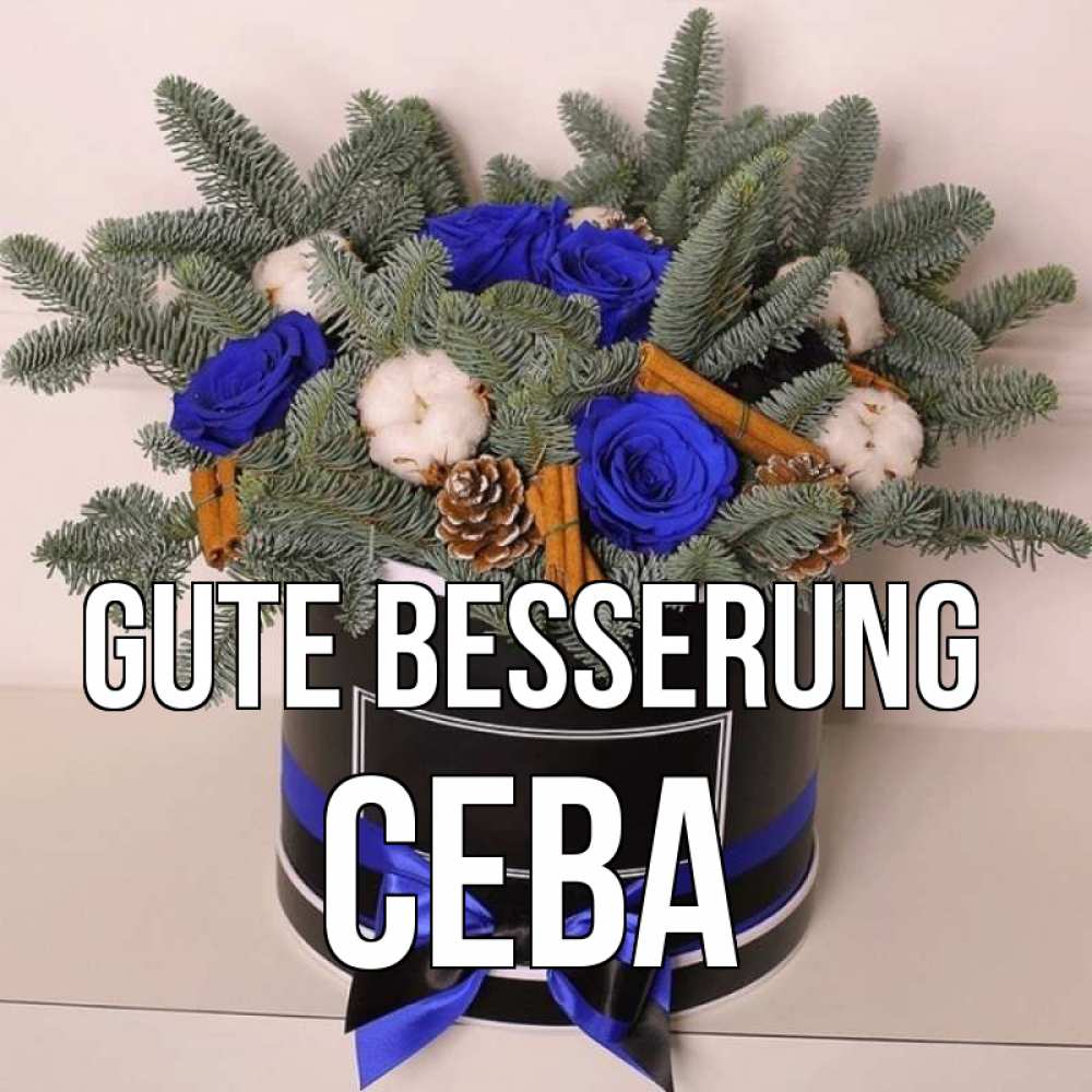 Открытка на каждый день с именем, Сева Gute Besserung короче кто то загрузил эти шишки Прикольная открытка с пожеланием онлайн скачать бесплатно 