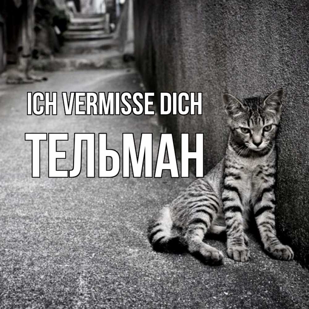 Открытка на каждый день с именем, Тельман Ich vermisse dich одиноко котику Прикольная открытка с пожеланием онлайн скачать бесплатно 
