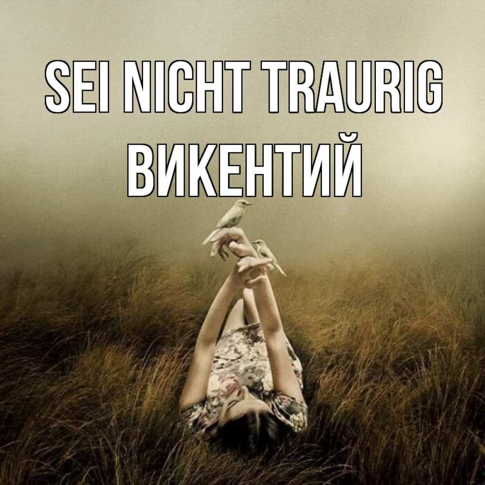 Открытка на каждый день с именем, Викентий Sei nicht traurig поле и туман Прикольная открытка с пожеланием онлайн скачать бесплатно 