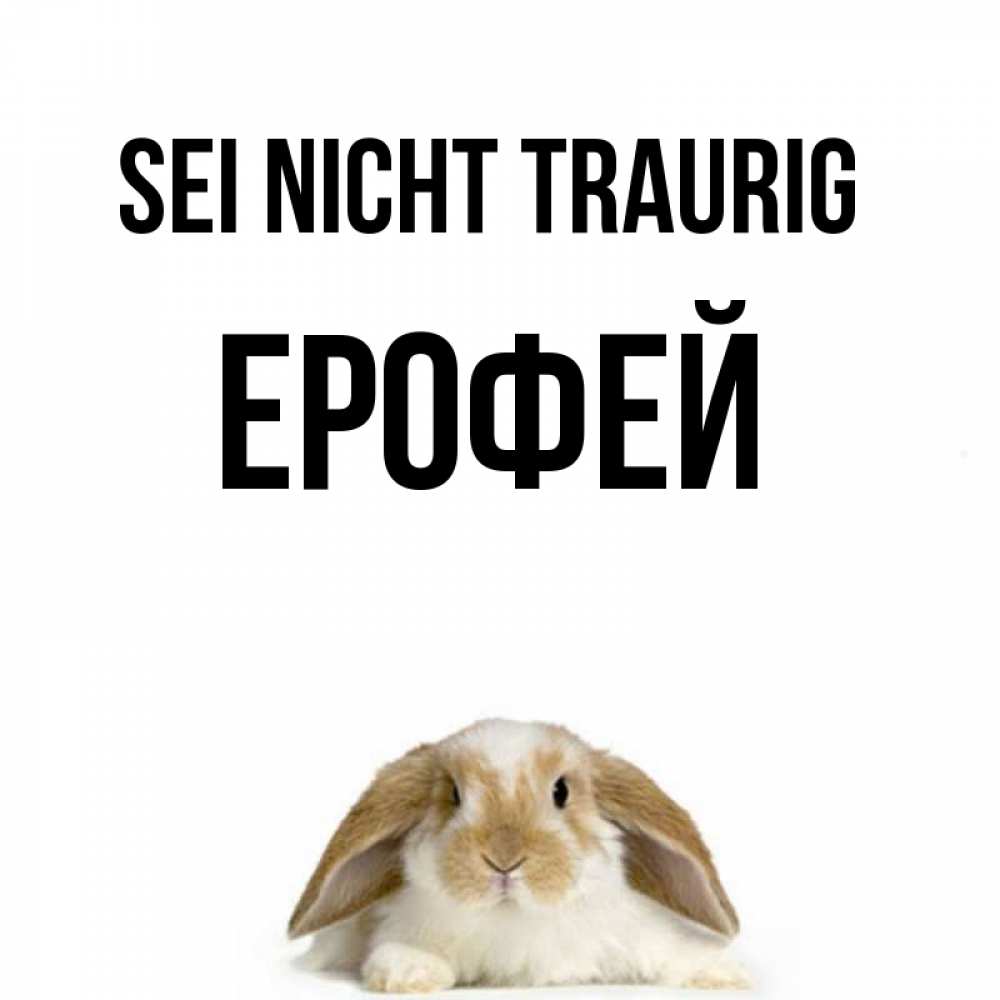 Открытка на каждый день с именем, Ерофей Sei nicht traurig коричнево белый заяц с большими ушками Прикольная открытка с пожеланием онлайн скачать бесплатно 