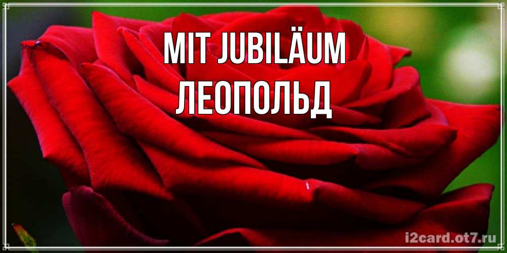 Открытка на каждый день с именем, Леопольд Mit Jubiläum розочка очень красивая Прикольная открытка с пожеланием онлайн скачать бесплатно 