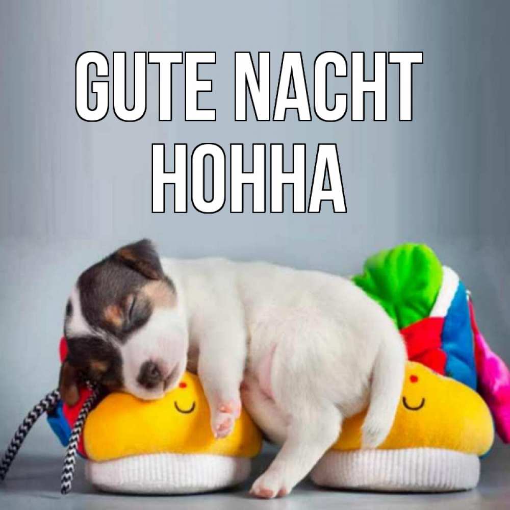Открытка на каждый день с именем, Нонна Gute Nacht собачка Прикольная открытка с пожеланием онлайн скачать бесплатно 