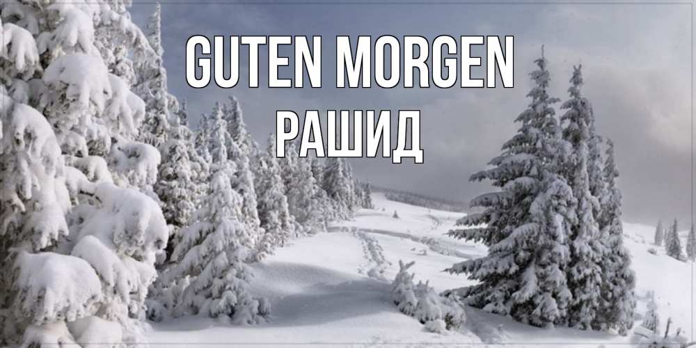 Открытка на каждый день с именем, Рашид Guten Morgen пасмурное утро Прикольная открытка с пожеланием онлайн скачать бесплатно 