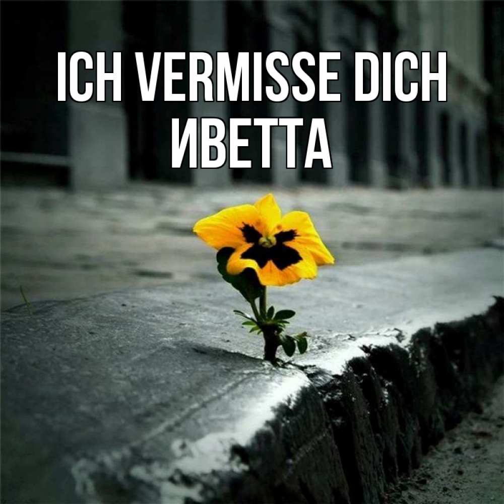 Открытка на каждый день с именем, Иветта Ich vermisse dich надеюсь будет лучше Прикольная открытка с пожеланием онлайн скачать бесплатно 