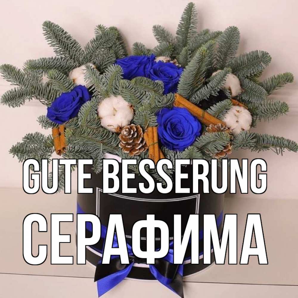 Открытка на каждый день с именем, Серафима Gute Besserung короче кто то загрузил эти шишки Прикольная открытка с пожеланием онлайн скачать бесплатно 