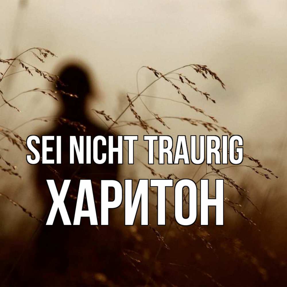 Открытка на каждый день с именем, Харитон Sei nicht traurig грусть Прикольная открытка с пожеланием онлайн скачать бесплатно 