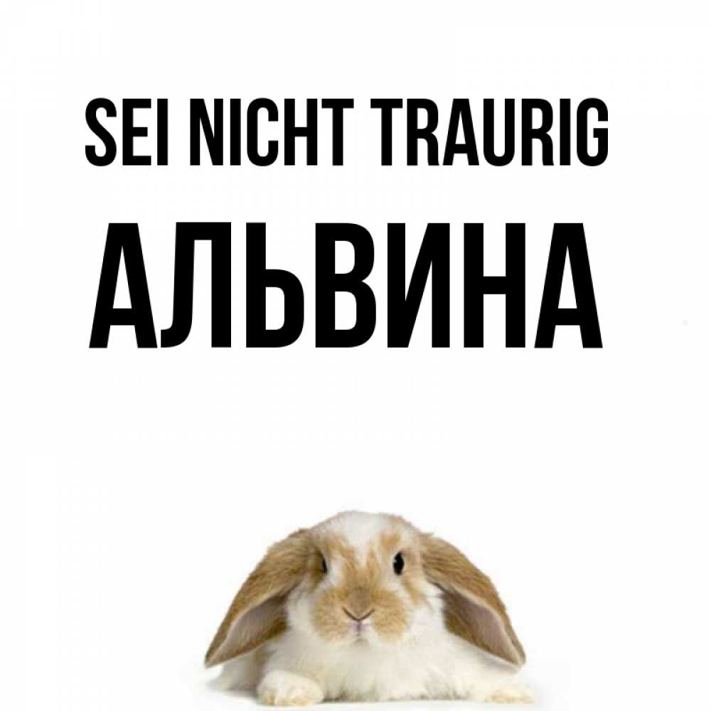 Открытка на каждый день с именем, Альвина Sei nicht traurig коричнево белый заяц с большими ушками Прикольная открытка с пожеланием онлайн скачать бесплатно 