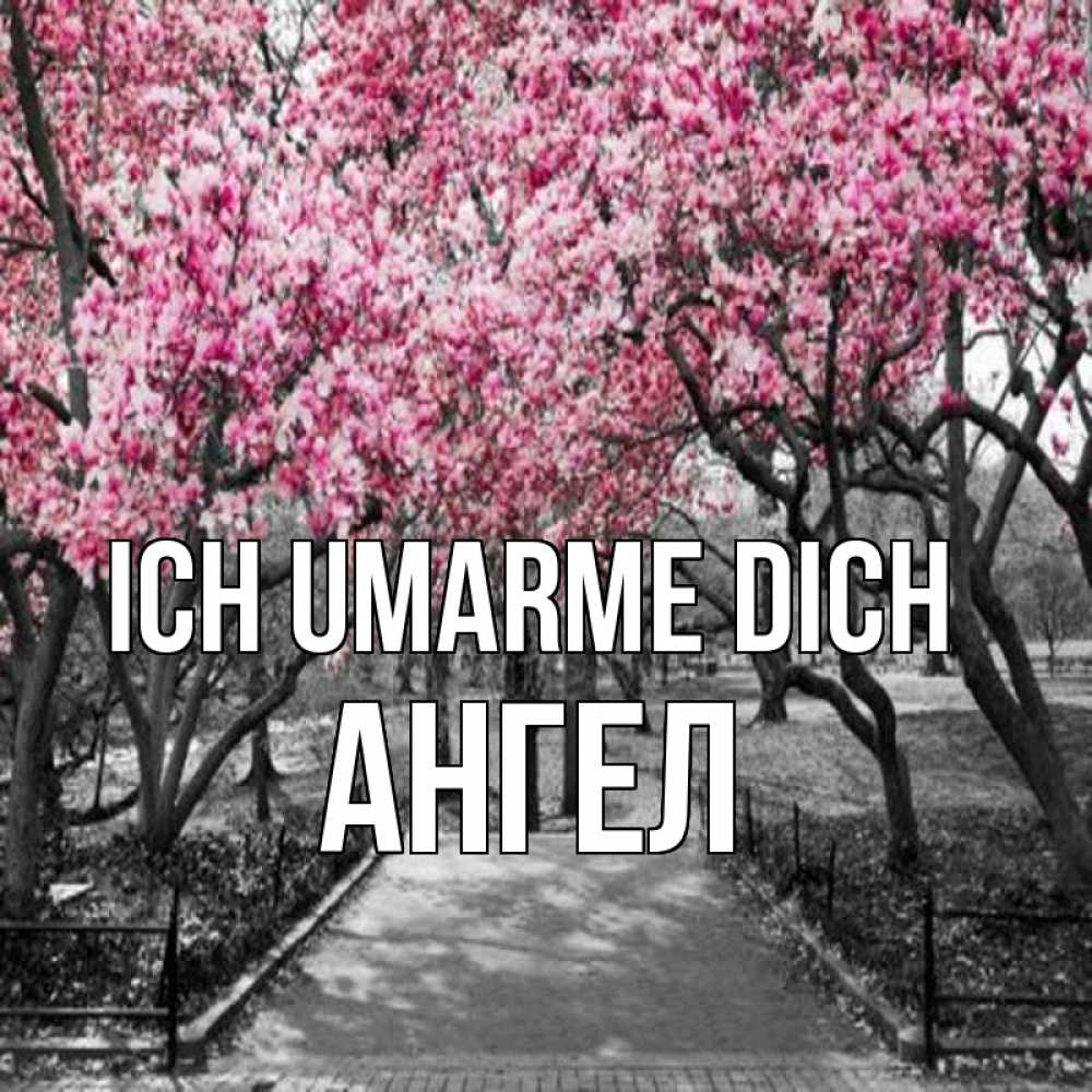 Открытка на каждый день с именем, Ангел Ich umarme dich обработанное фото Прикольная открытка с пожеланием онлайн скачать бесплатно 