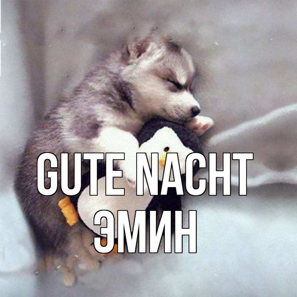 Открытка на каждый день с именем, Эмин Gute Nacht обнимашки щенка и пингвина Прикольная открытка с пожеланием онлайн скачать бесплатно 