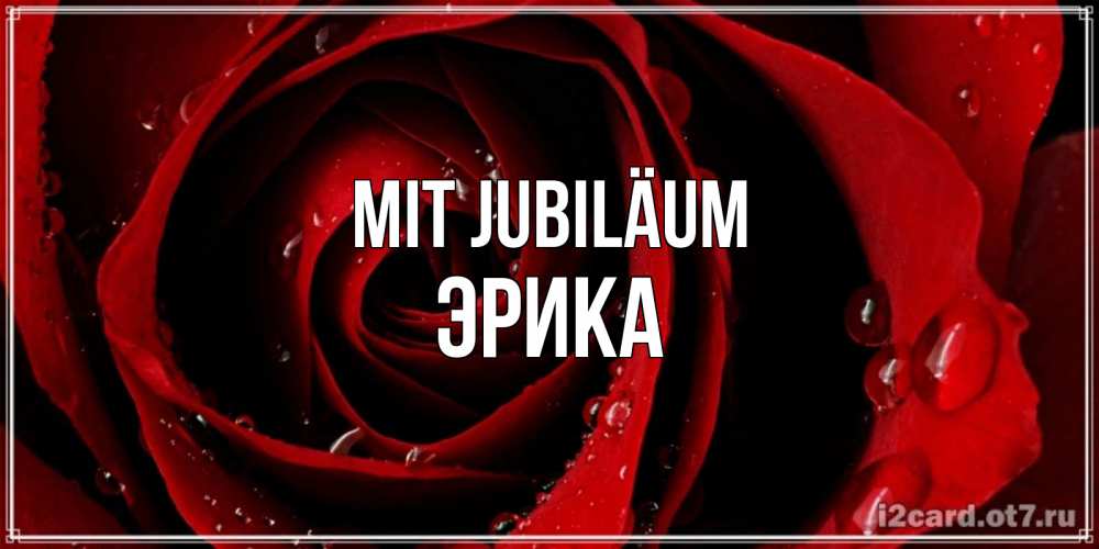 Открытка на каждый день с именем, Эрика Mit Jubiläum крупная бордовая роза Прикольная открытка с пожеланием онлайн скачать бесплатно 