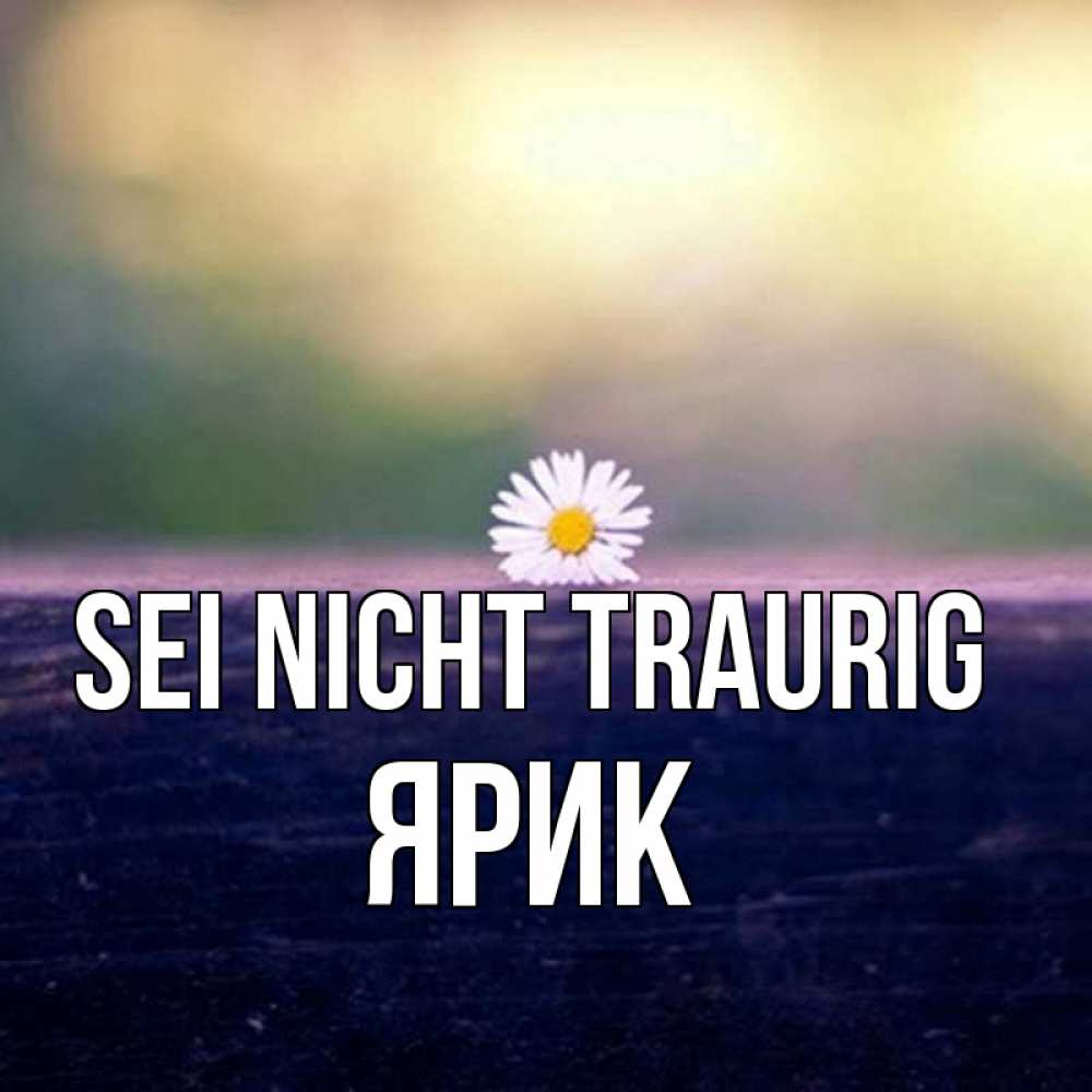 Открытка на каждый день с именем, Ярик Sei nicht traurig красота Прикольная открытка с пожеланием онлайн скачать бесплатно 