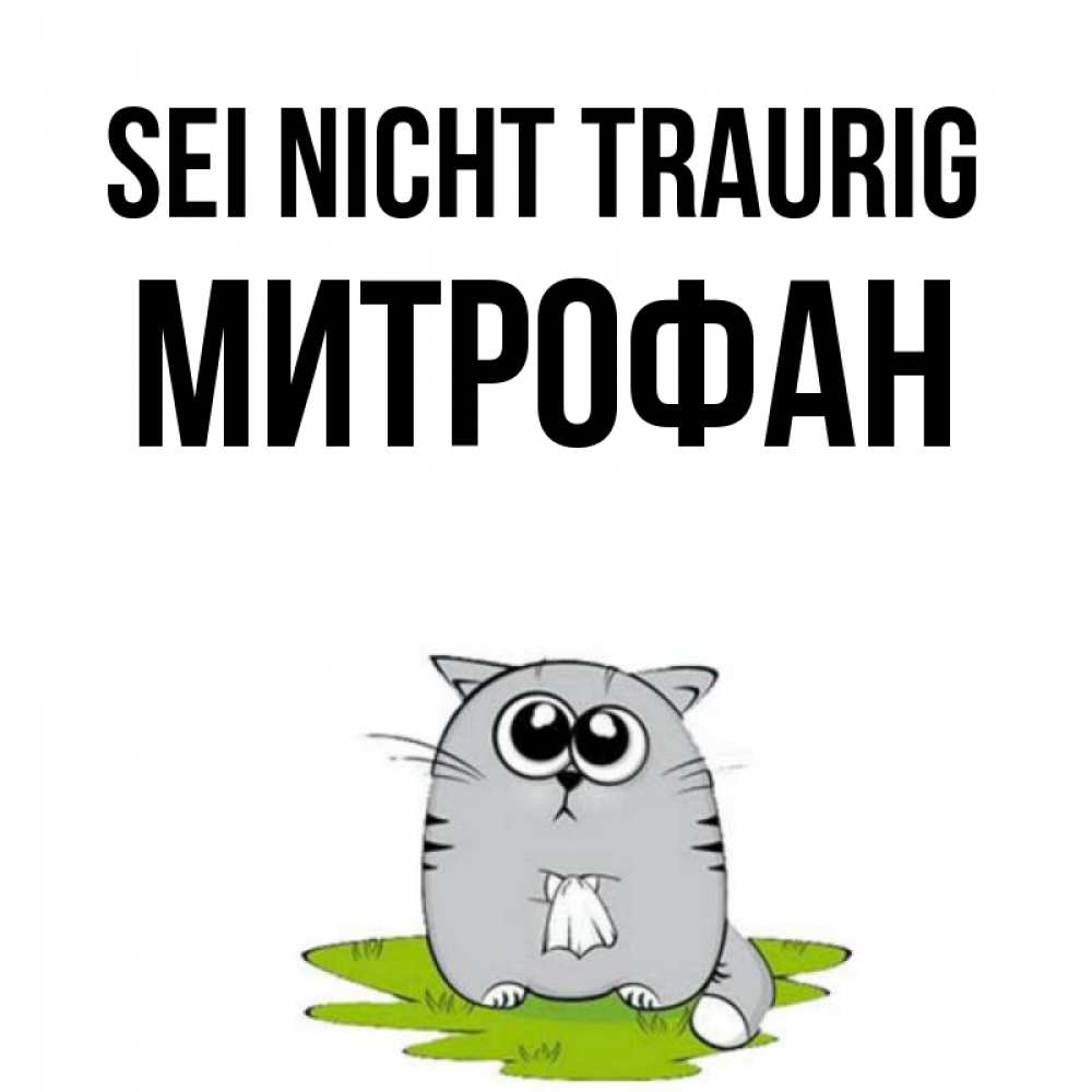 Открытка на каждый день с именем, Митрофан Sei nicht traurig грустный котяра Прикольная открытка с пожеланием онлайн скачать бесплатно 