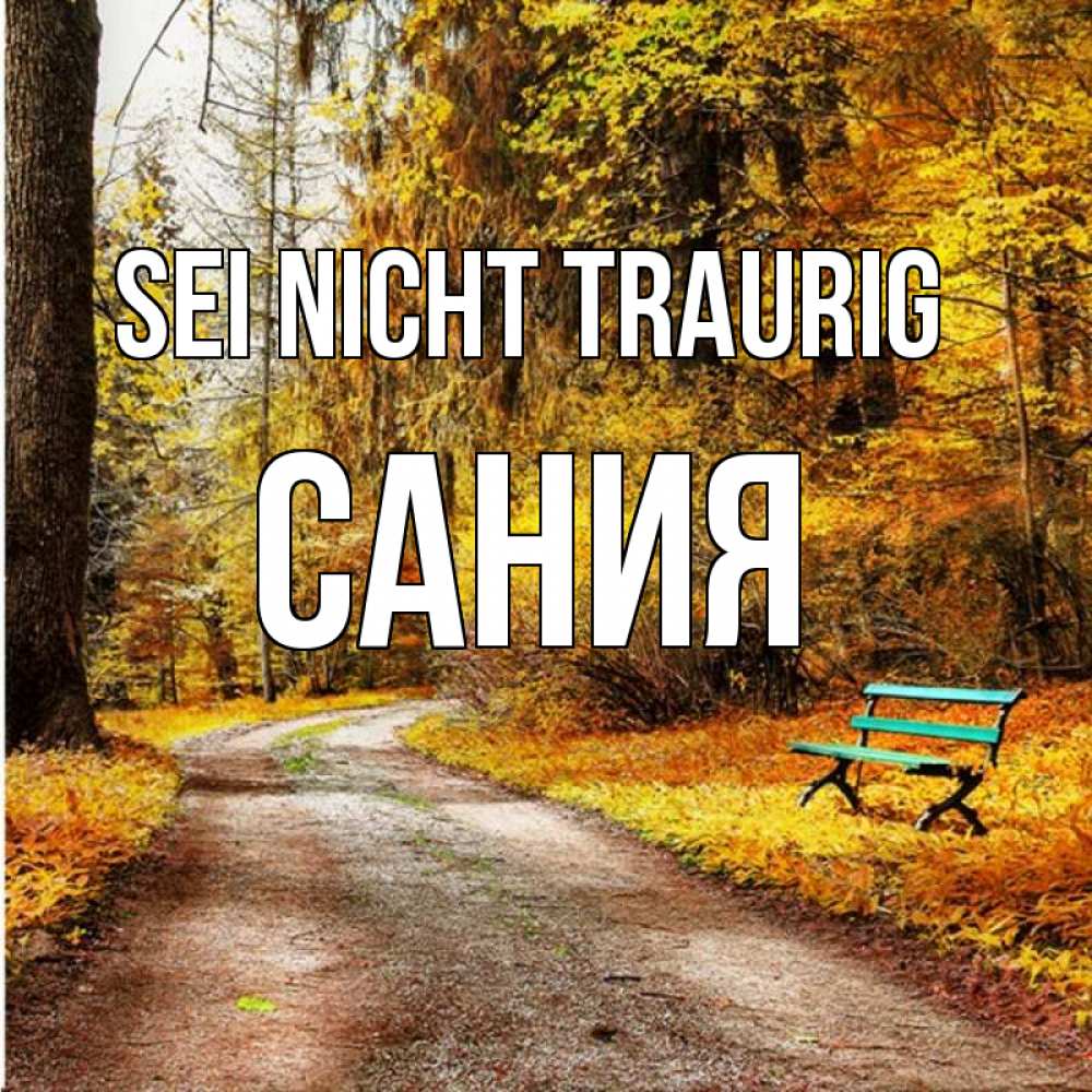 Открытка на каждый день с именем, Сания Sei nicht traurig зеленая лавочка Прикольная открытка с пожеланием онлайн скачать бесплатно 