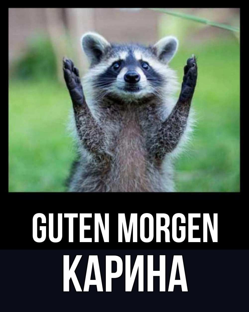 Открытка на каждый день с именем, Карина Guten Morgen хорошее настроение утречком Прикольная открытка с пожеланием онлайн скачать бесплатно 