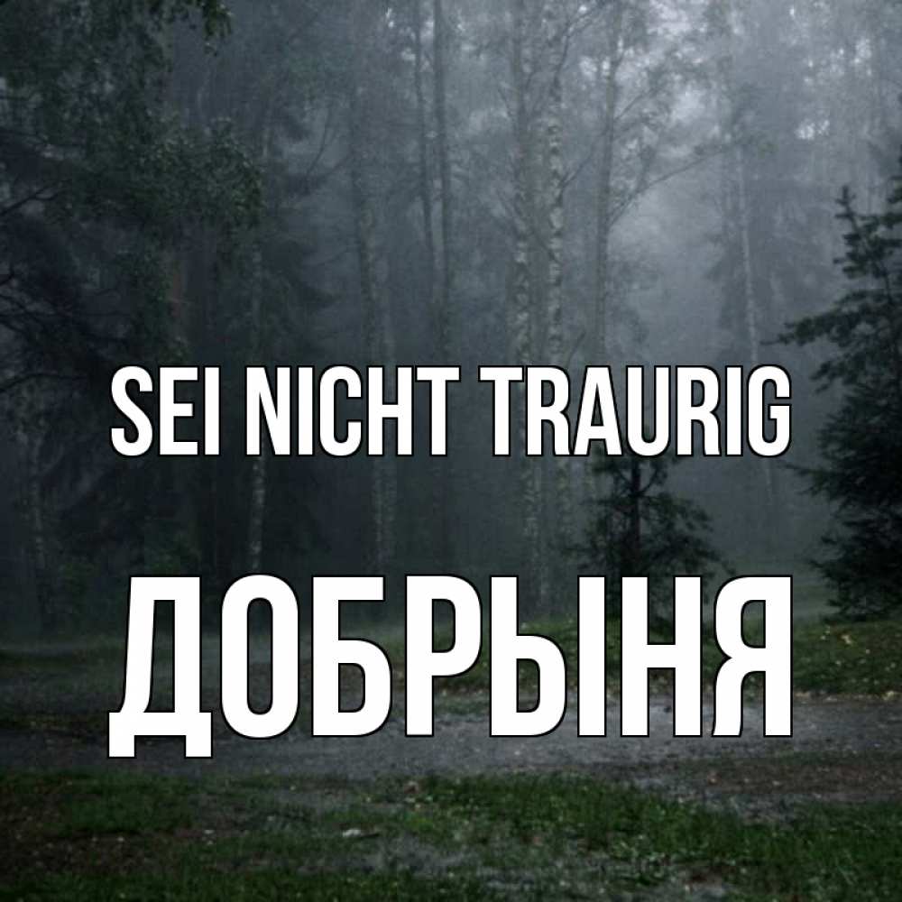 Открытка на каждый день с именем, Добрыня Sei nicht traurig осень Прикольная открытка с пожеланием онлайн скачать бесплатно 