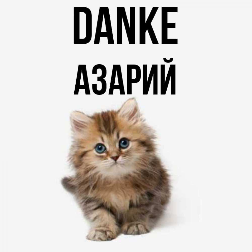 Открытка на каждый день с именем, Азарий Danke пушистый котик Прикольная открытка с пожеланием онлайн скачать бесплатно 