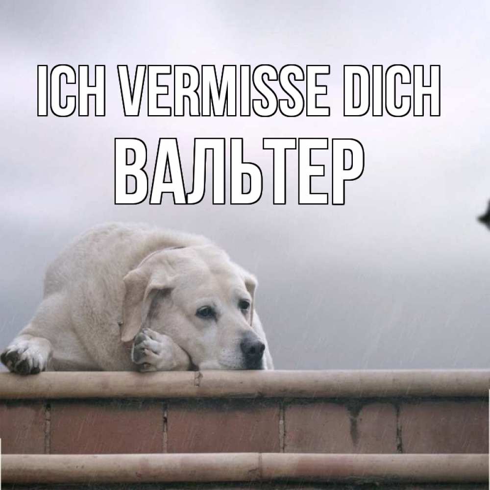 Открытка на каждый день с именем, Вальтер Ich vermisse dich ждет Прикольная открытка с пожеланием онлайн скачать бесплатно 