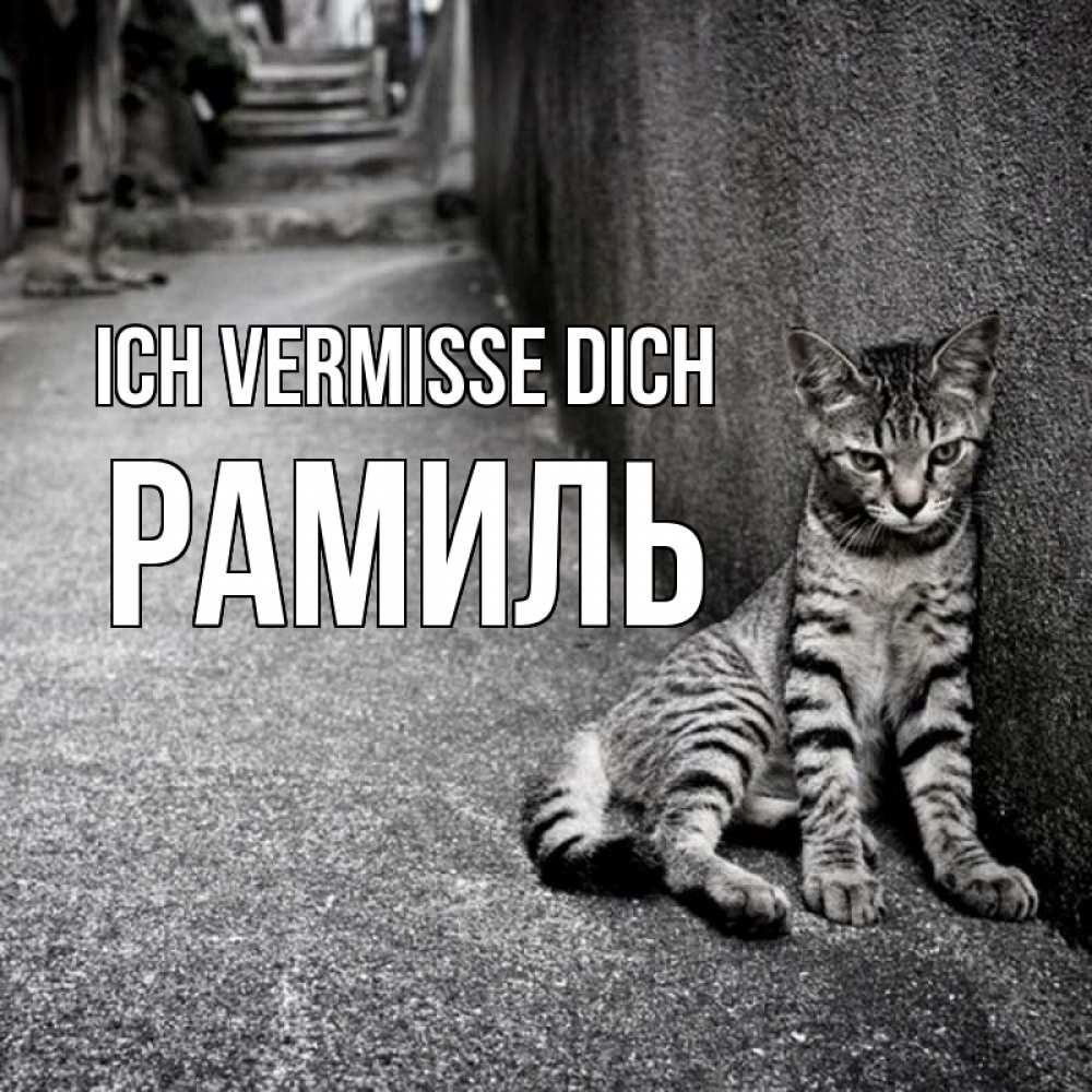 Открытка на каждый день с именем, Рамиль Ich vermisse dich одиноко котику Прикольная открытка с пожеланием онлайн скачать бесплатно 